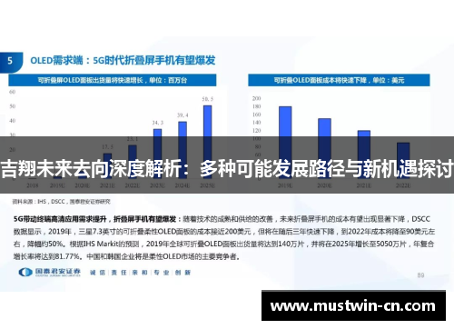 吉翔未来去向深度解析：多种可能发展路径与新机遇探讨
