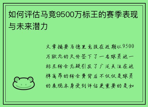 如何评估马竞9500万标王的赛季表现与未来潜力