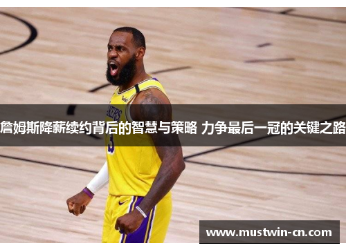 詹姆斯降薪续约背后的智慧与策略 力争最后一冠的关键之路
